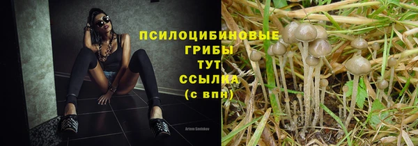 дмт Магадан