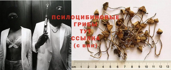 первитин Магас